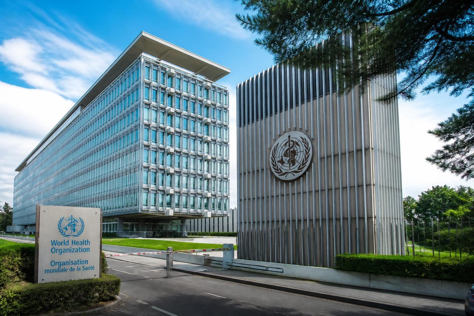 découvrez la définition de l'oms et son rôle crucial dans la promotion de la santé mondiale, la coordination des efforts internationaux et la lutte contre les maladies.