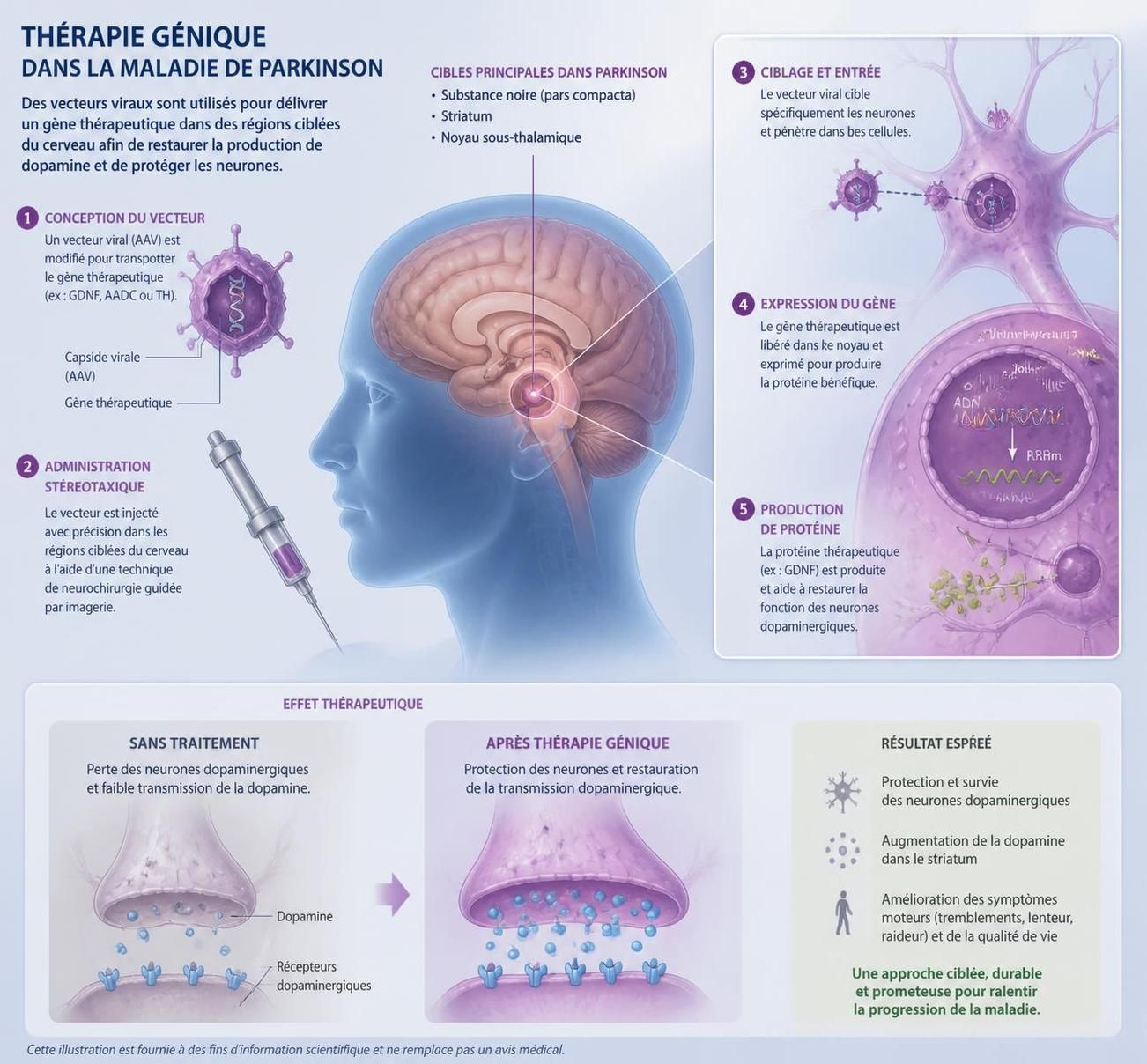 découvrez les traitements innovants contre la maladie de parkinson en 2026, avec des approches avancées et des recommandations actualisées pour améliorer la prise en charge et la qualité de vie des patients.